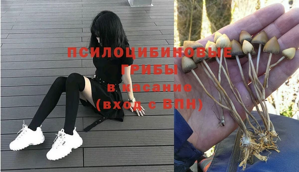 mdpv Михайловск