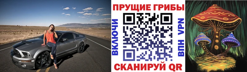 Галлюциногенные грибы мицелий  Эртиль 